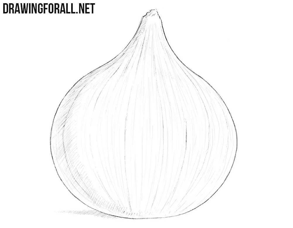 How To Draw A Realistic Onion 🧅😀 | Realistic Onion Drawing In Pencil - Step  by Step - YouTube