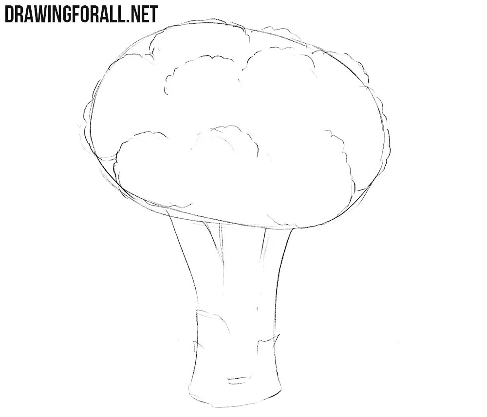 How to sketch a broccoli