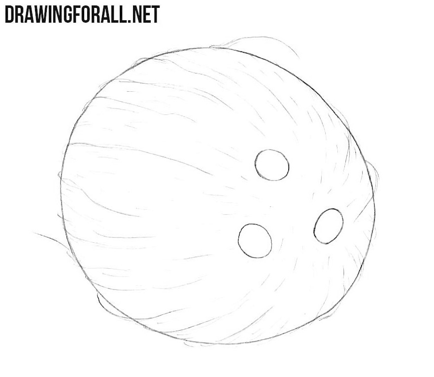 Coconut drawing tutorial