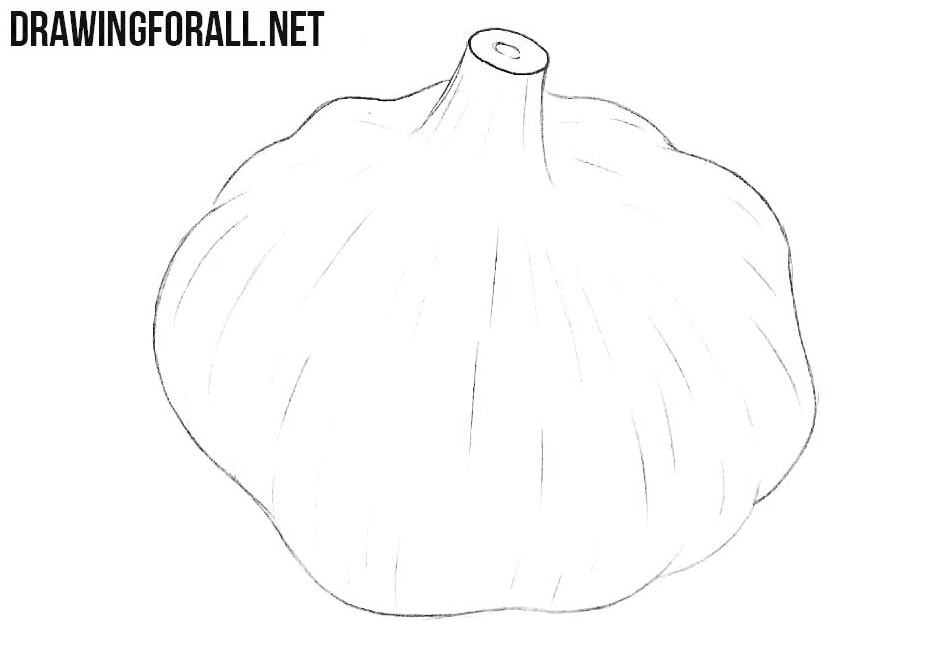 How to draw a garlic step by step
