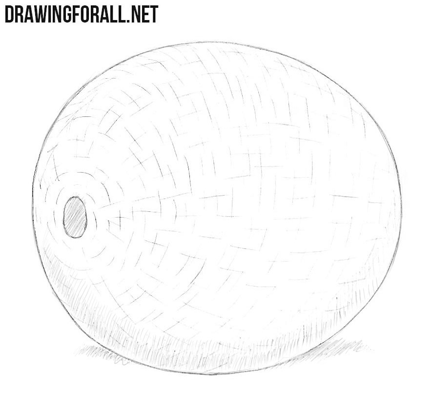 How to draw a melon
