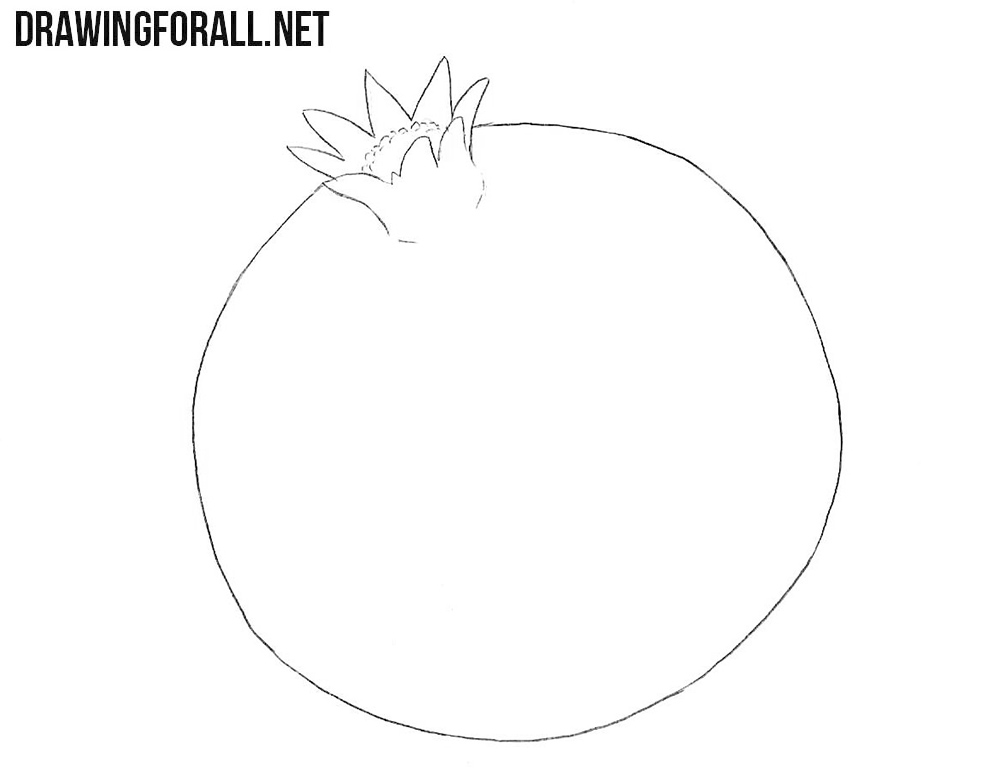 How to draw a pomegranate step by step