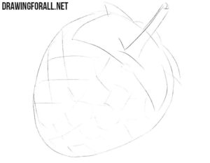 How to Draw a Raspberry