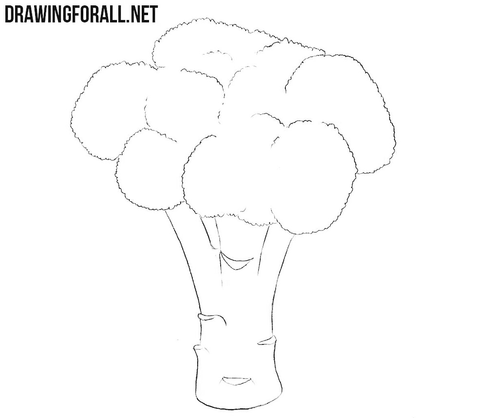 Learn how to draw a broccoli step by step