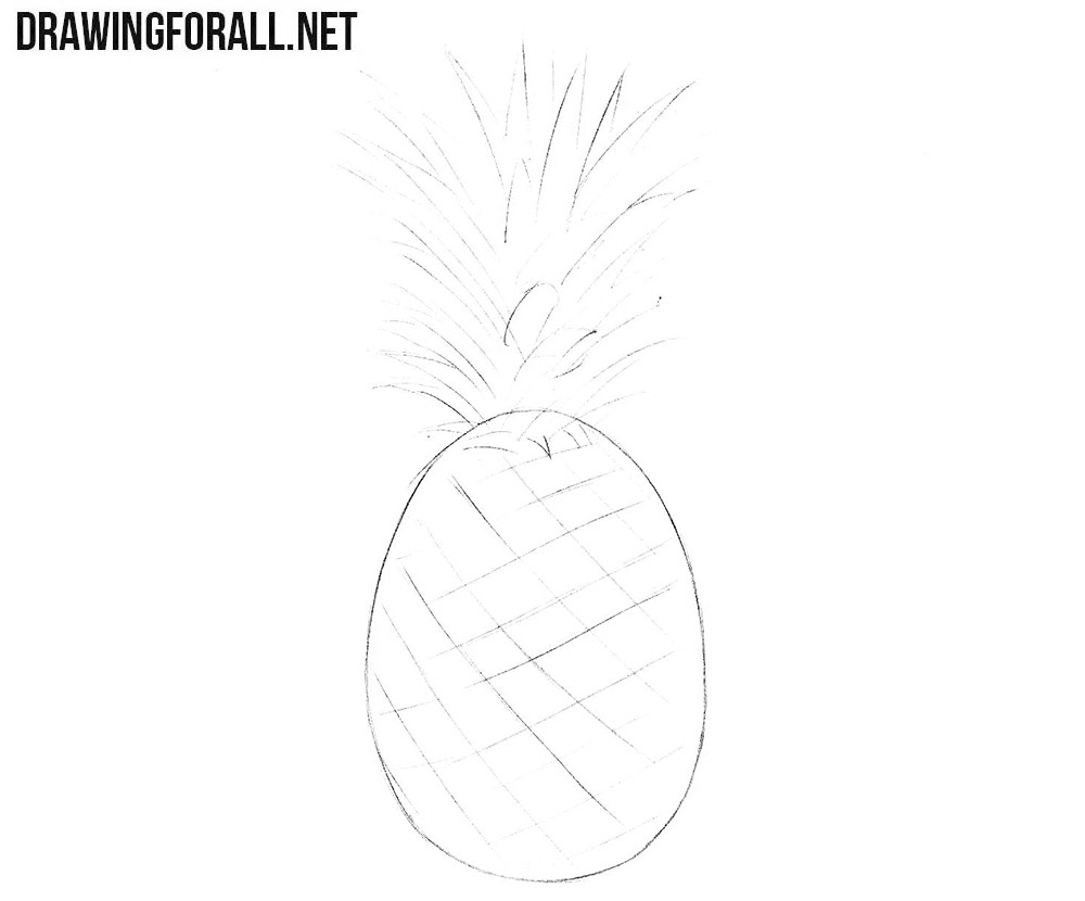 Learn how to draw a pineapple