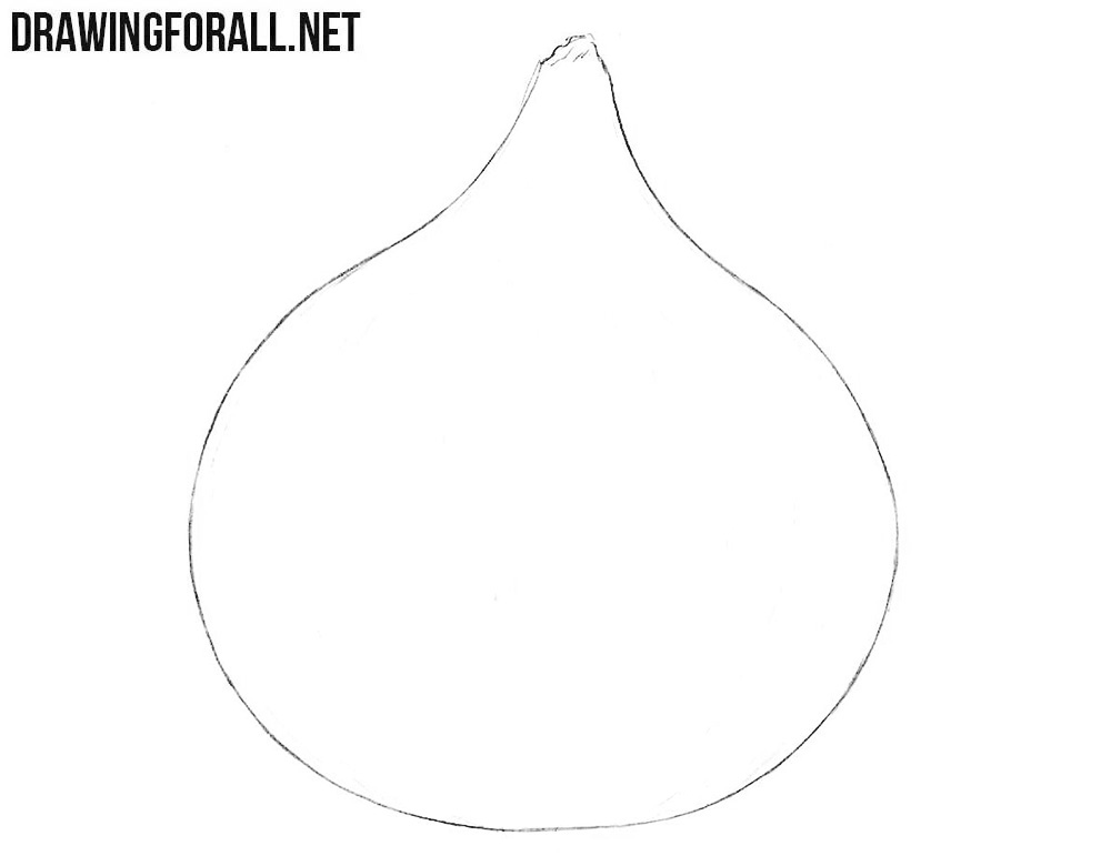 Learn how to draw an onion