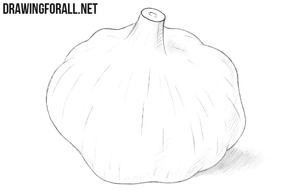 How to draw a garlic
