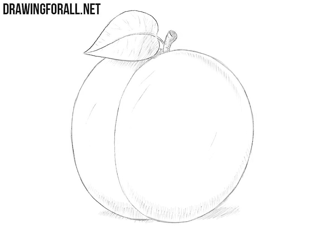 How to draw a plum