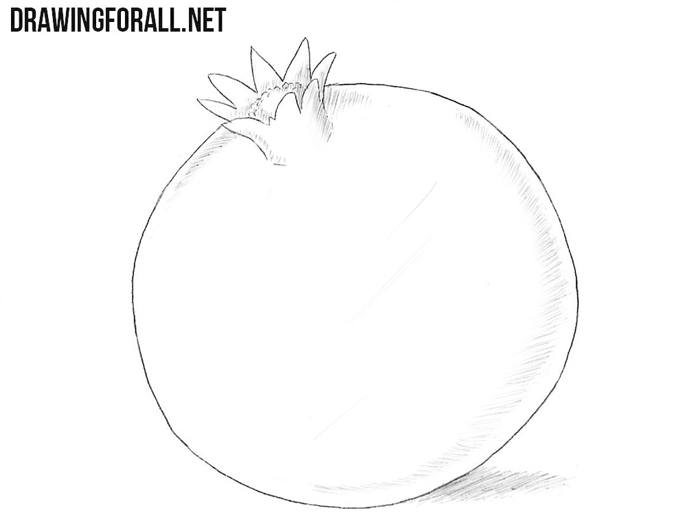 How to draw a pomegranateHow to draw a pomegranate