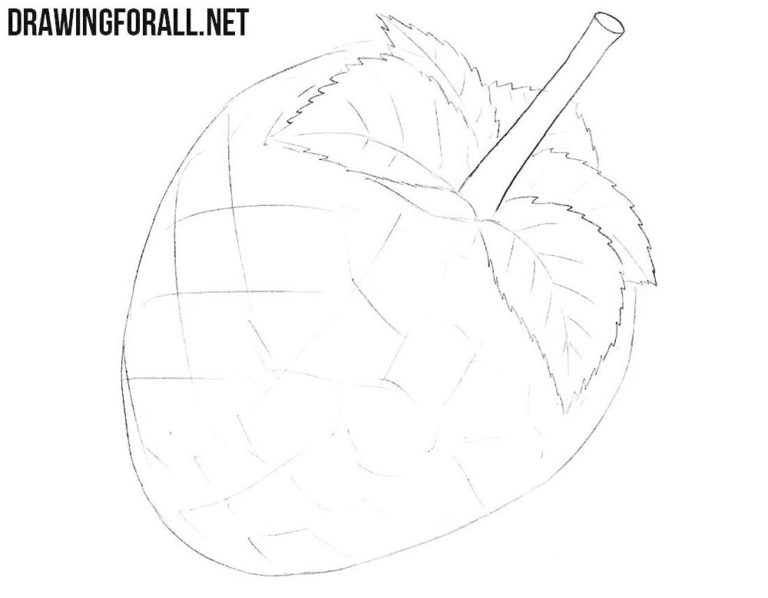 How to Draw a Raspberry