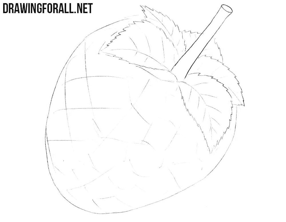 How to draw a raspberry easy