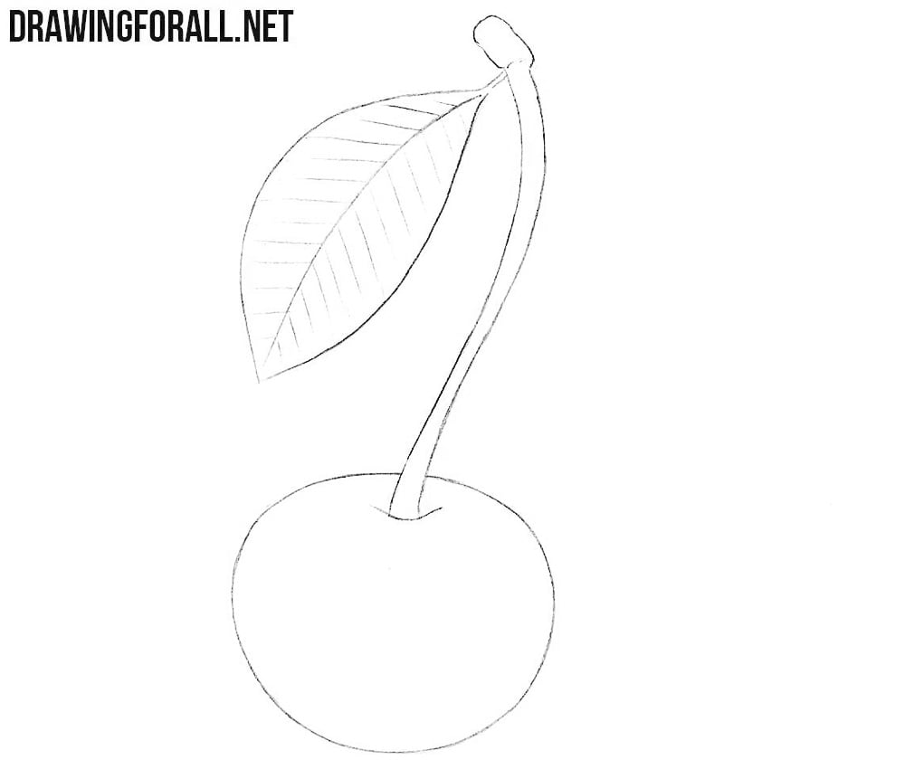 How to draw a wild cherry step by step