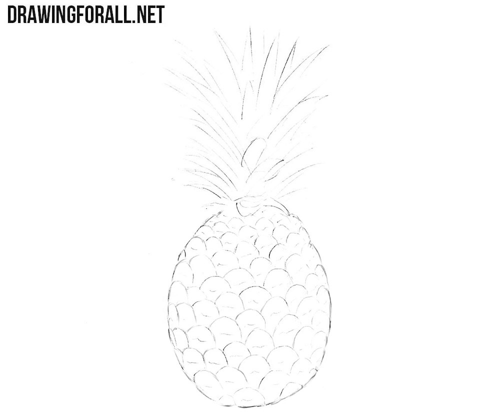 How to sketch a pineapple