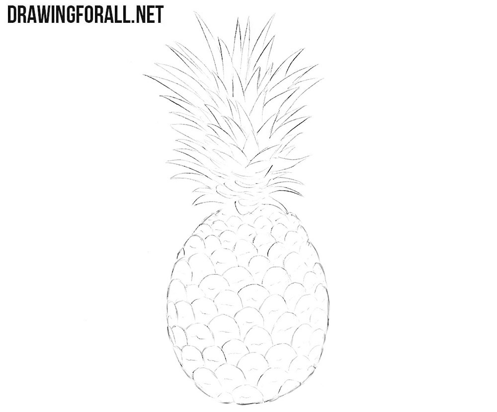 Pineapple drawing tutorial