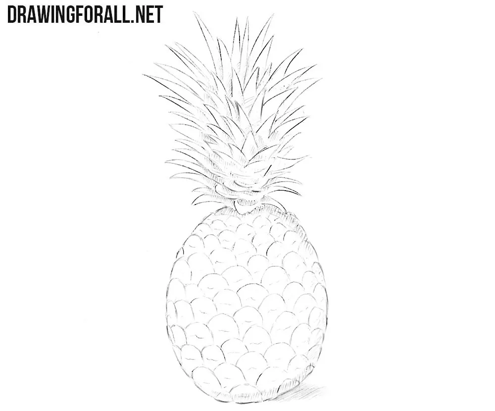 How to draw a pineapple