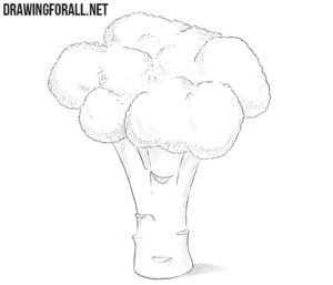 How to draw a broccoli