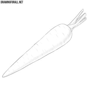 How to Draw a Carrot