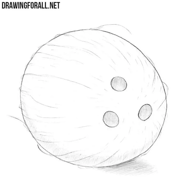 How to Draw a Coconut