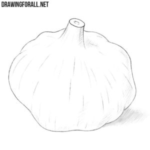 How to draw a garlic