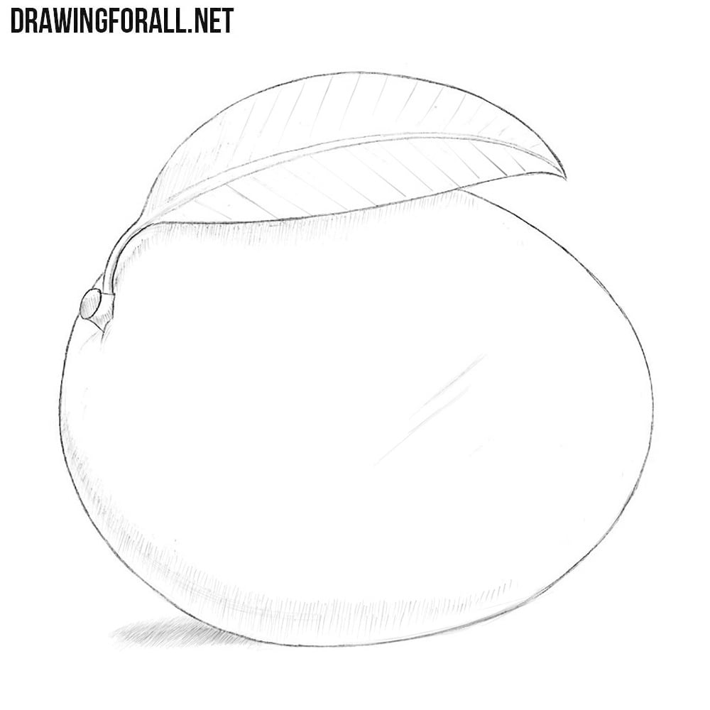 How to Draw a Mango