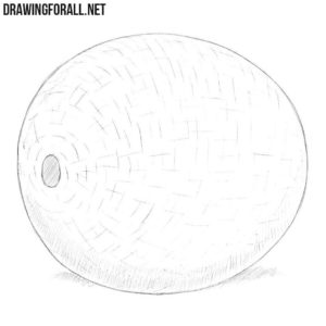 How to Draw a Melon