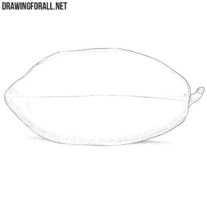 How to Draw a Papaya