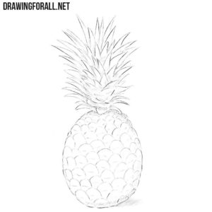 How to draw a pineapple