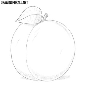 How to draw a plum
