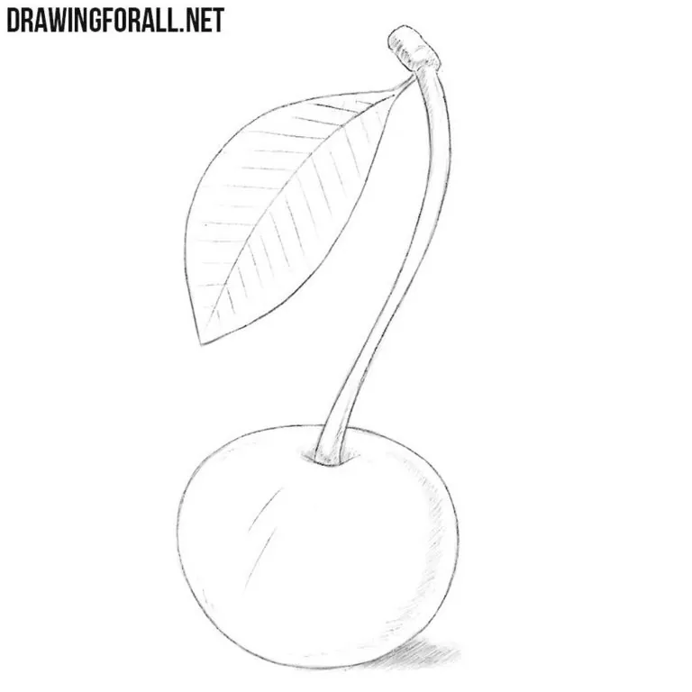 How to Draw a Wild Cherry