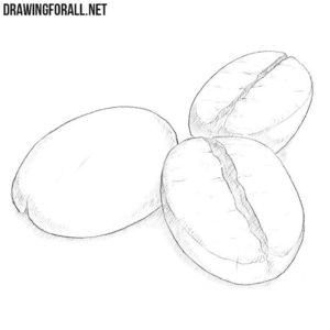 How to draw coffee beans