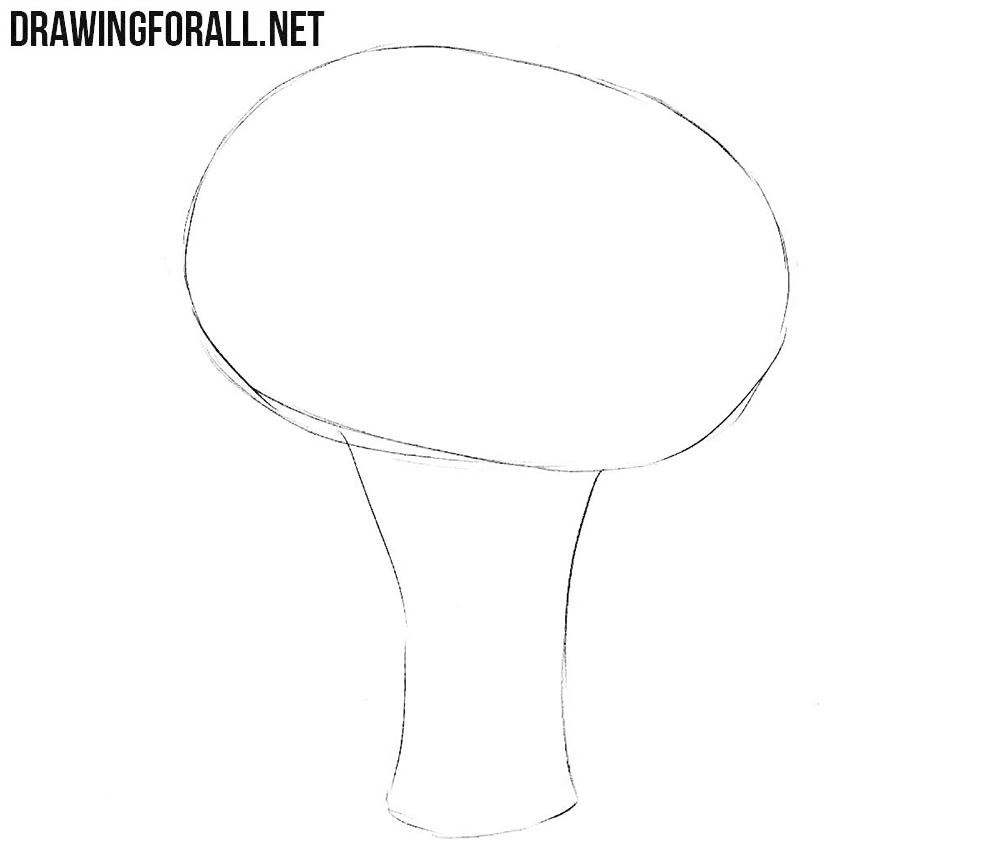 Draw the broccoli stalk shape