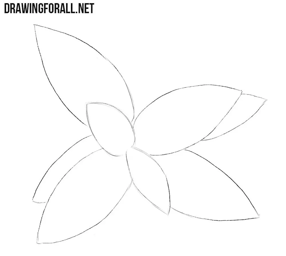 Adding several larger mint leaves behind the first overlapping group.