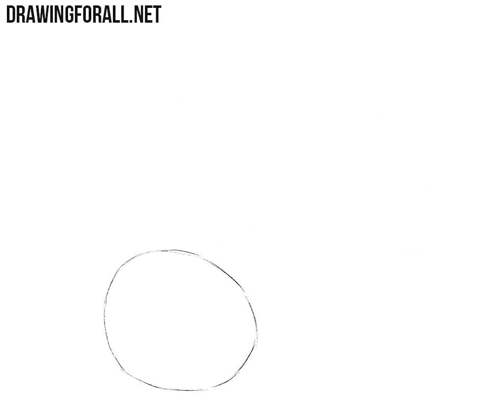 How to draw a beet