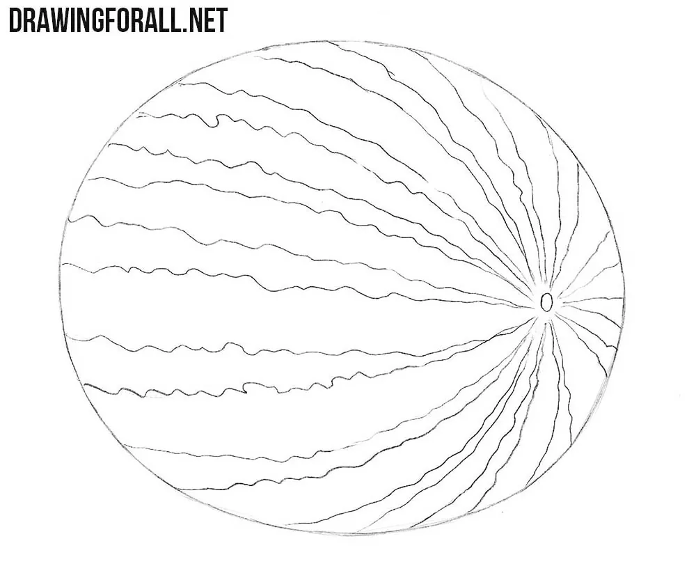 How to draw a watermelon step by step