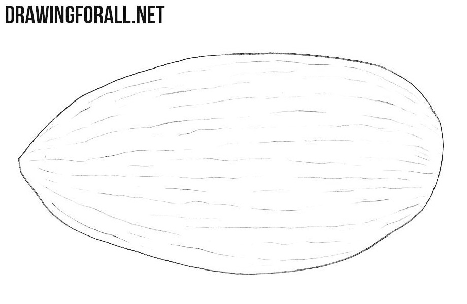 How to draw an almond easy