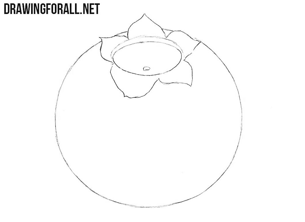 How to draw a blueberry fruit