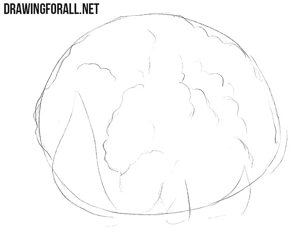 How to draw a cauliflower easy
