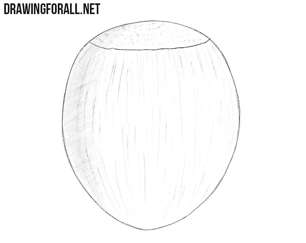 How to draw a chestnut