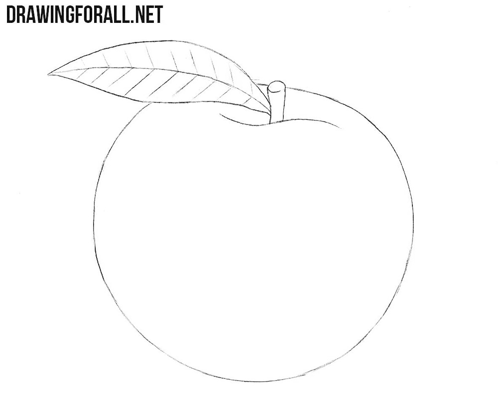 How to draw a peach fruit step by step
