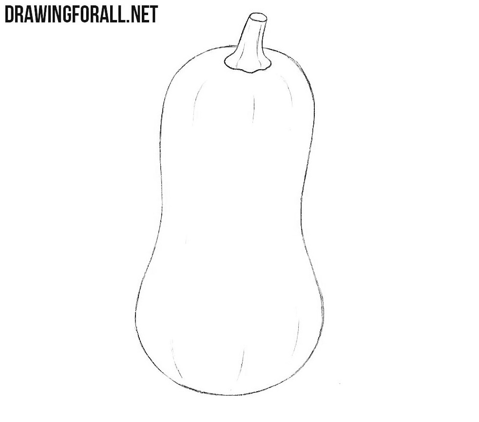 How to draw a squash easy