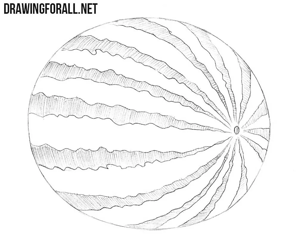 How to draw a watermelon plant