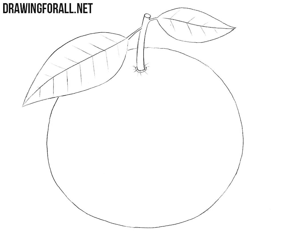 Mandarin drawing tutorial