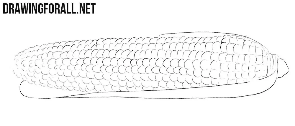 How to draw a corn step by step