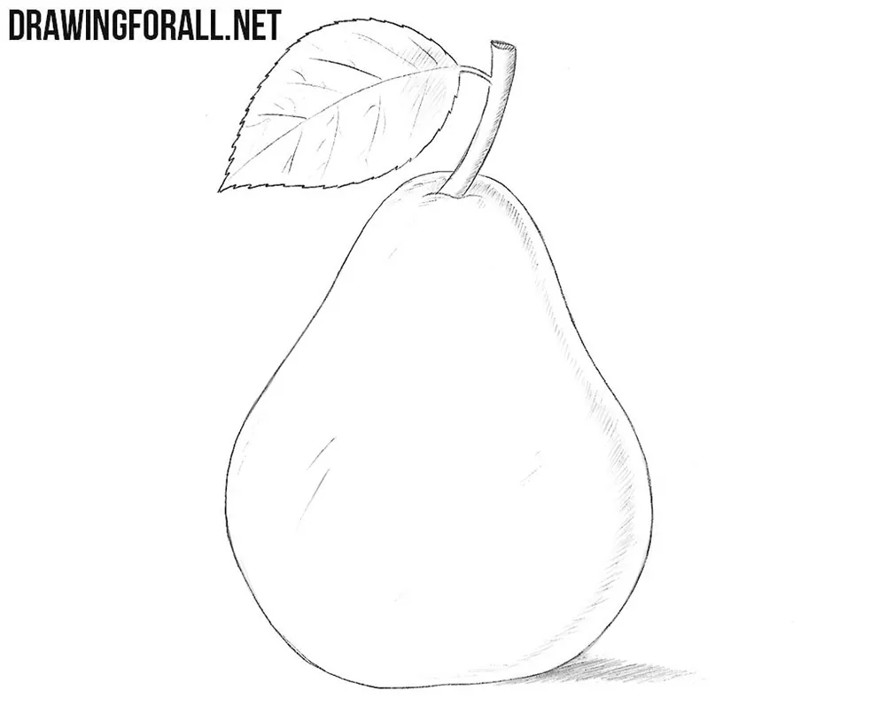 How to draw a pear