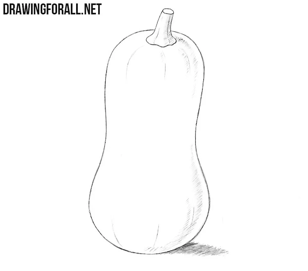 How to draw a squash