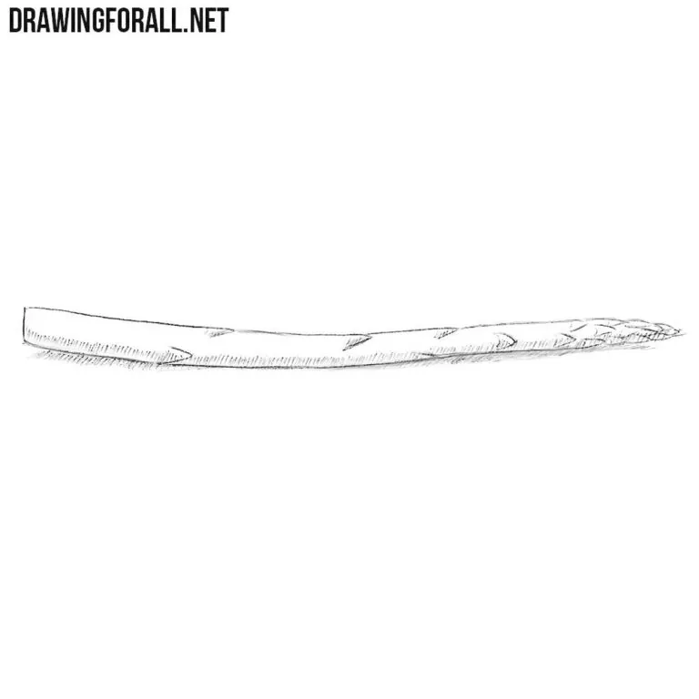 How to Draw an Asparagus