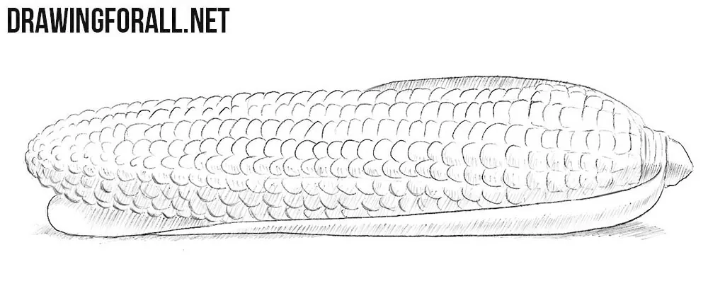 How to draw a corn