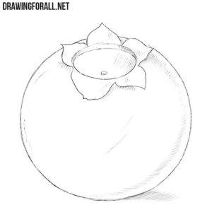 How to Draw a Blueberry