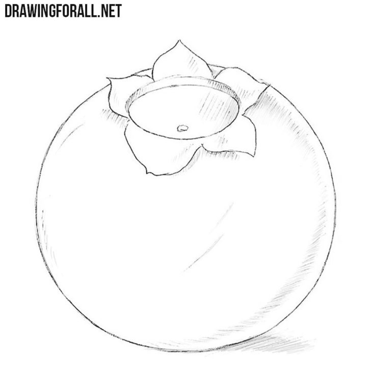 How to draw a blueberry