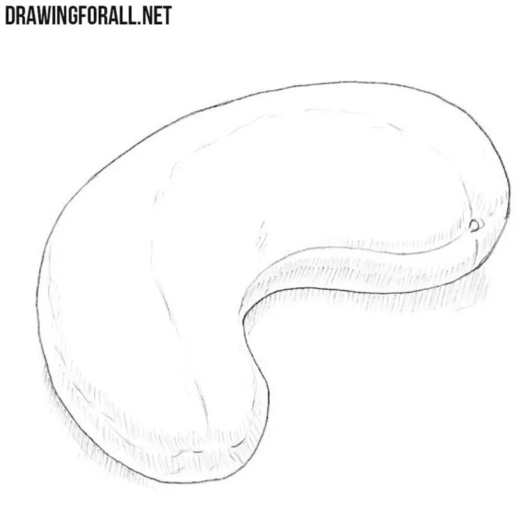 How to Draw a Cashew